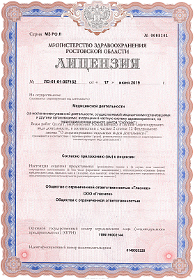 Лицензия ЛО-61-01-007162